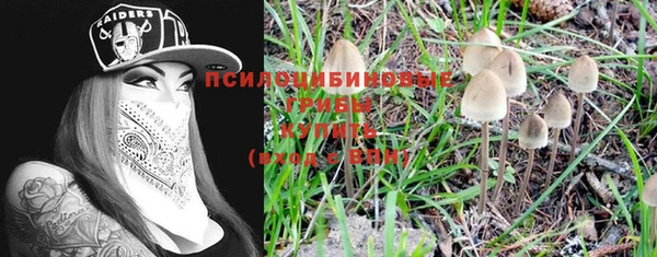 гашик Балахна