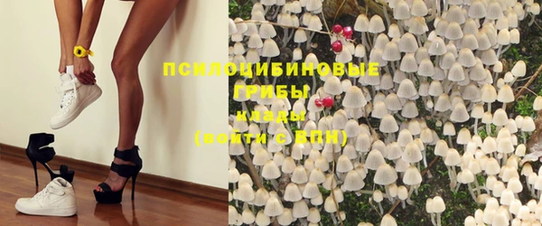 гашик Балахна