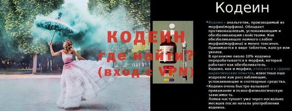 гашик Балахна