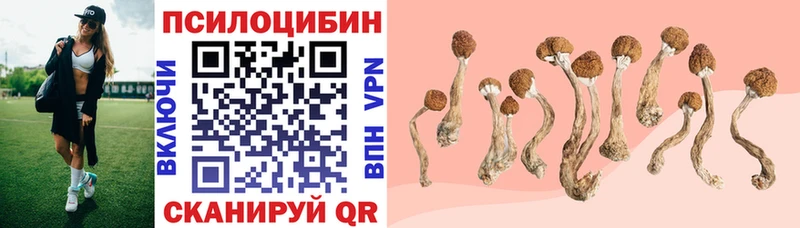 купить закладку  Задонск  маркетплейс Telegram  Галлюциногенные грибы Psilocybine cubensis 